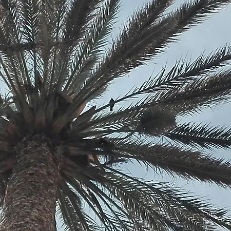 Cocoi Frühstückspension