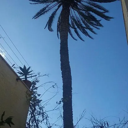 Cocoi * San Vito Lo Capo