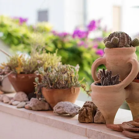 Bed & Breakfast Cocoi San Vito Lo Capo